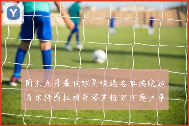 国米九月最佳球员候选名单揭晓迪马尔科图拉姆劳塔罗恰尔汗奥卢争夺荣誉